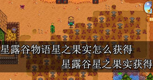 星露谷物语星之果实全收集攻略